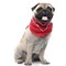 Paisley Polyester Set of 3 Dog & Cats Bandana Triangle Bibs - Regular Size